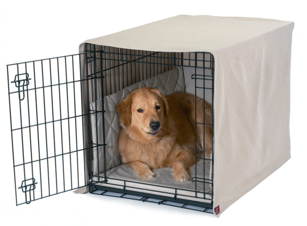 Prepare Crate for Your new Dog