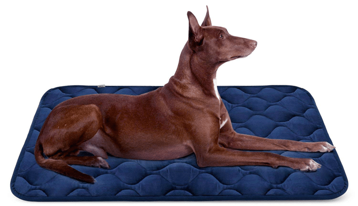 Dog Bed Mat by HeroDog