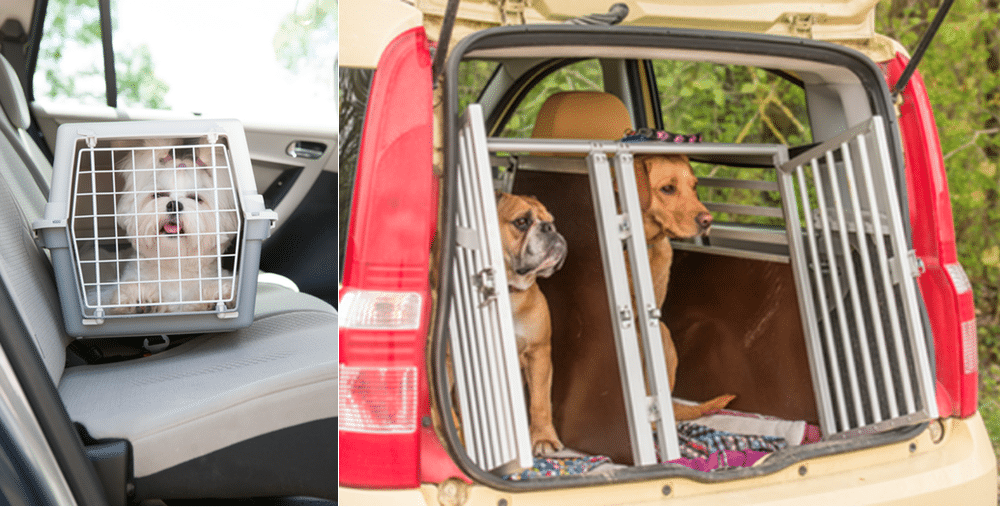 large dog transport cage