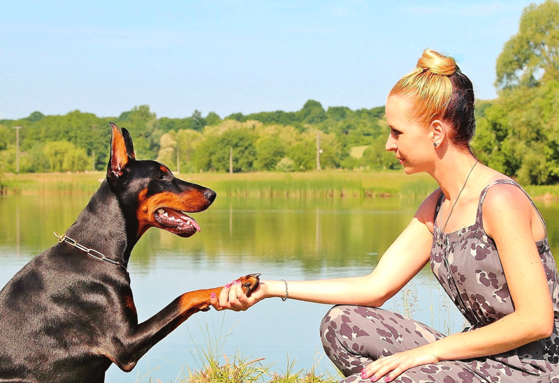 Dog puts his paw on you