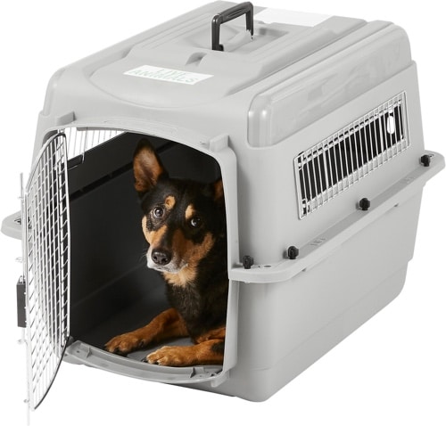 plastic puppy crate