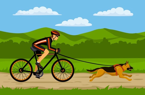 Cycling With Dog