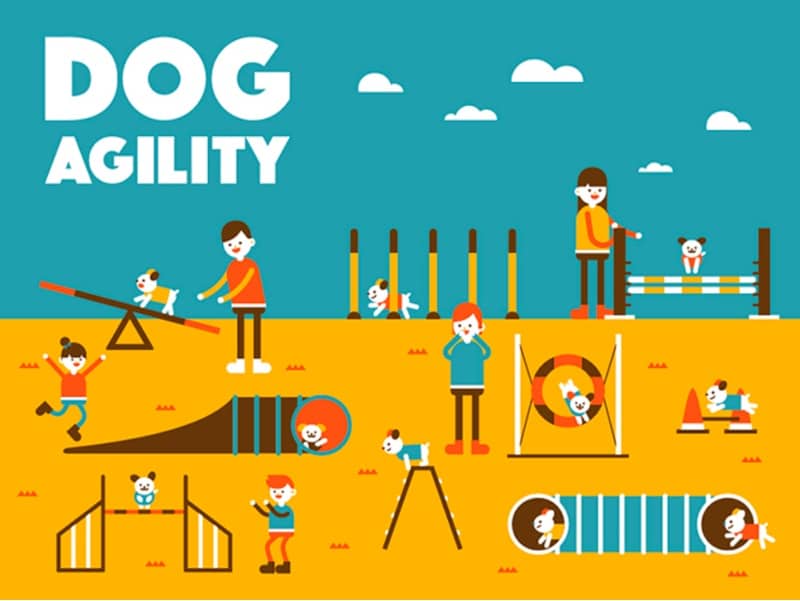 Dog Agility