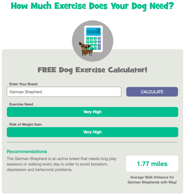 Free Dog Exercise Calculator