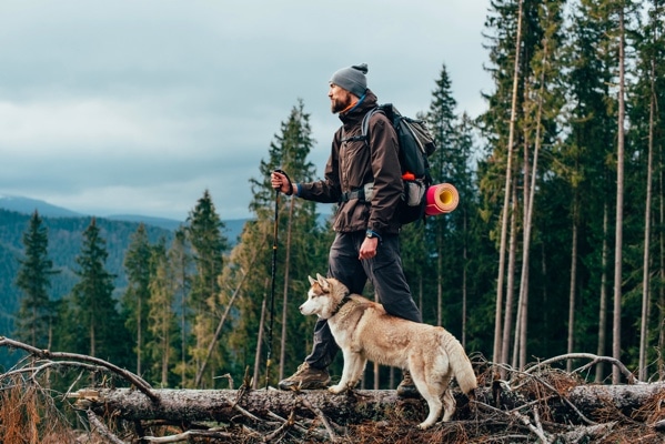 Hiking with dog