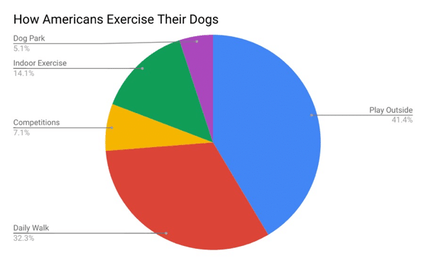 How Do Americans Exercise Their Dogs