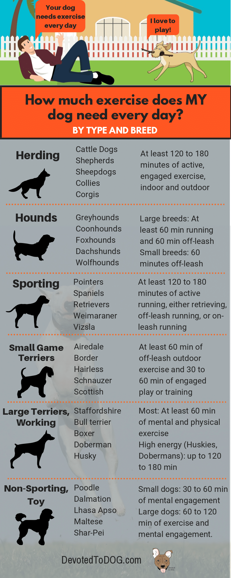 [Infographic] How Much Exercise Does a Specific Dog Breed