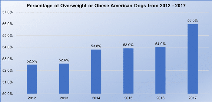 Percentage of Overweight or Obese American Dogs from 2012 - 2017