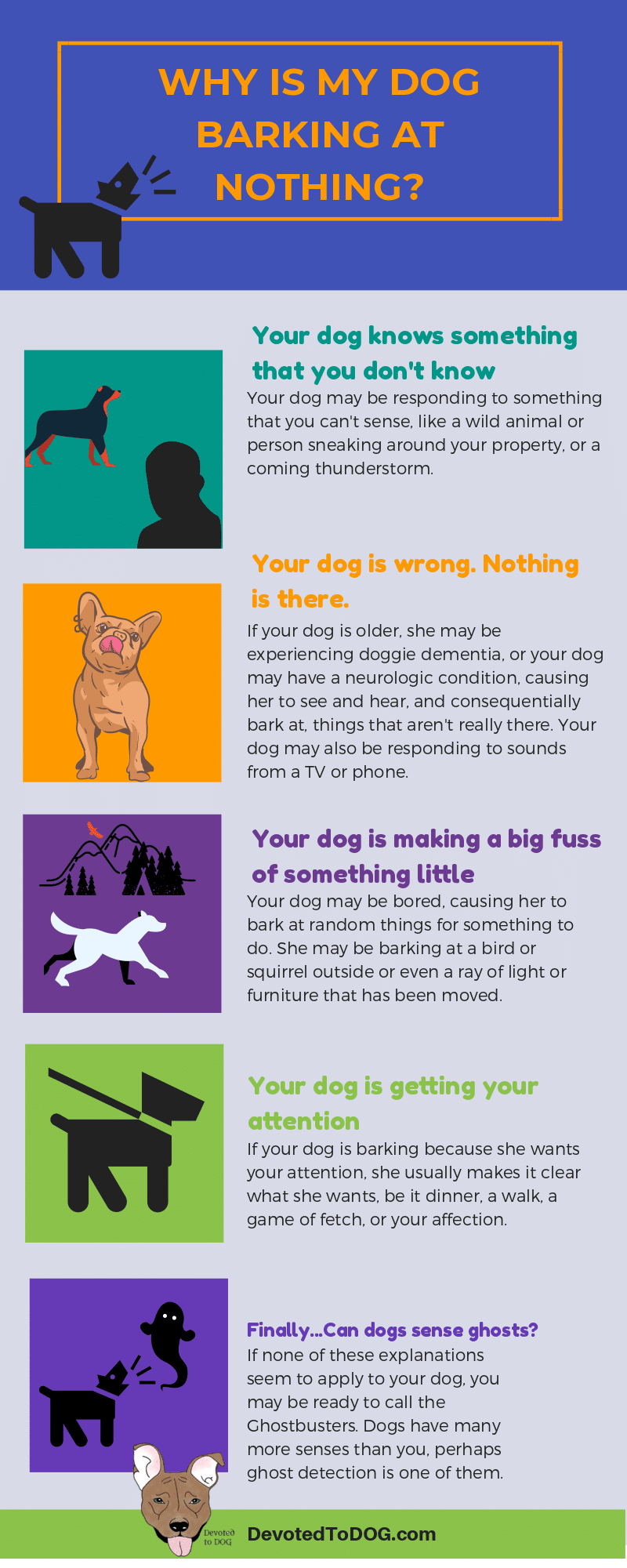 Infographic Your Dog Is Barking At Nothing Can She Sense Ghosts