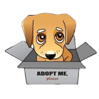 Dog Adoption Guides