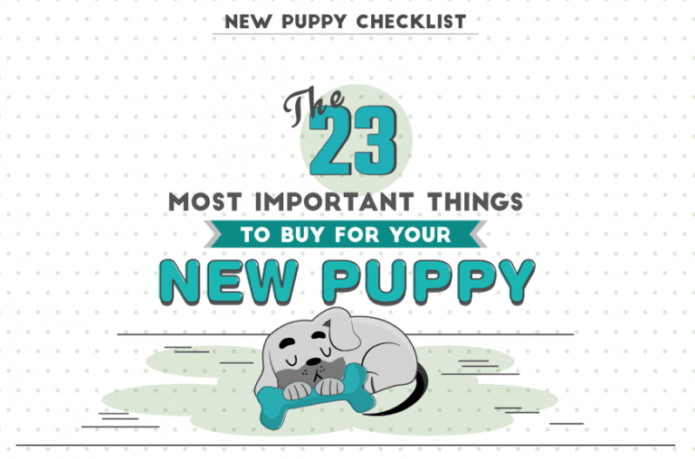 What to buy for a new puppy