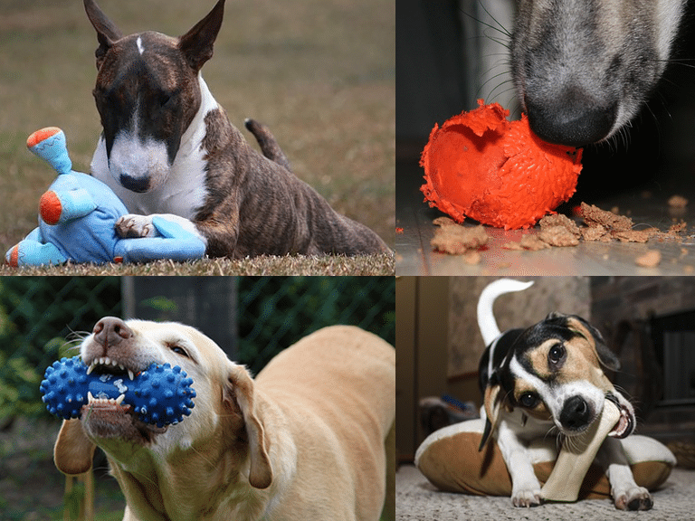 The 17 Best Dog Toys for Aggressive Chewers of 2023: the Toughest Toys  Reviewed