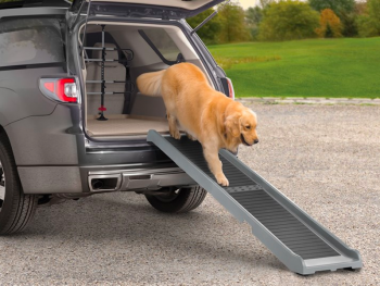 Best Dog Ramps for Car SUV