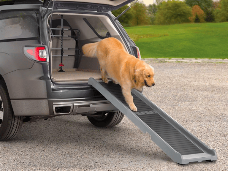 Best Dog Ramps for Car SUV