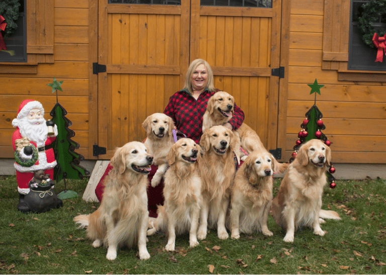Top 34 Best Golden Retriever Breeders In Ohio (OH)