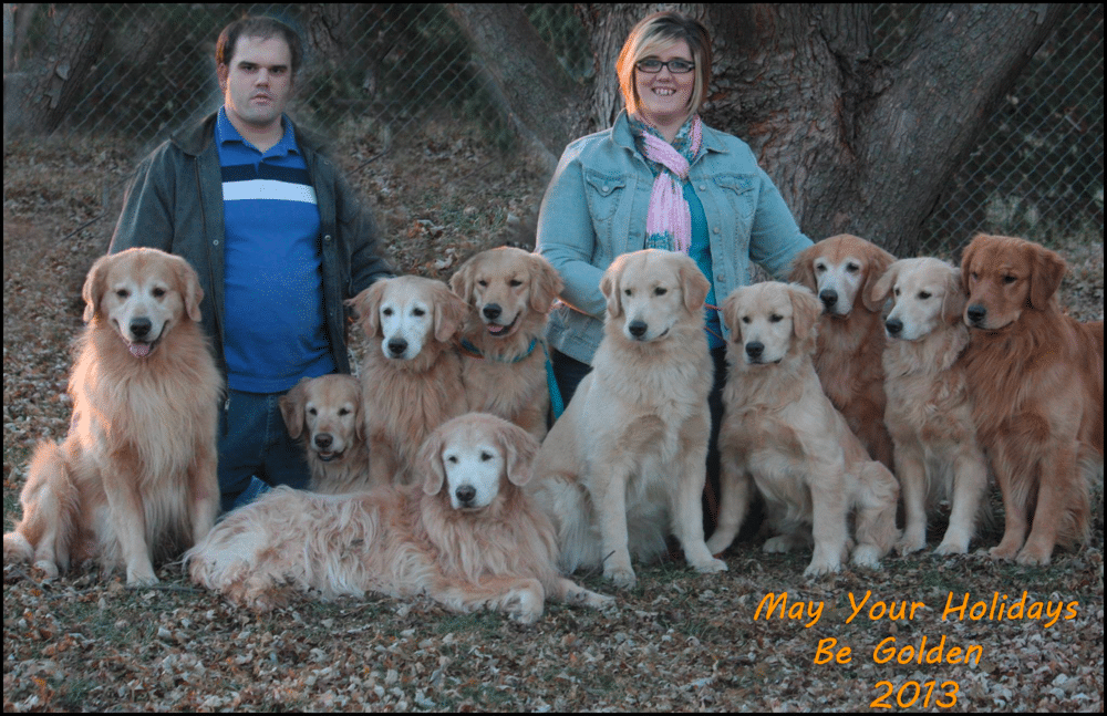 PrairieWyn Golden Retriever Breeder