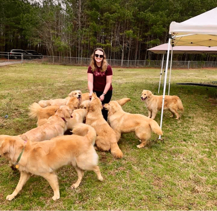 Golden Rose Kennel North Carolina