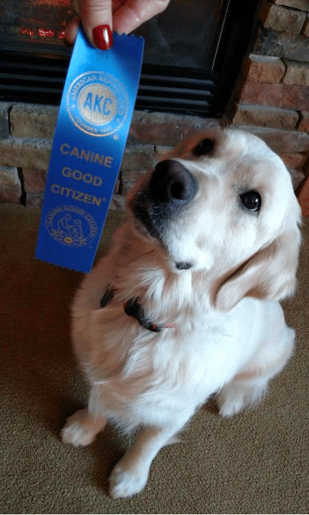 River Birch Goldens