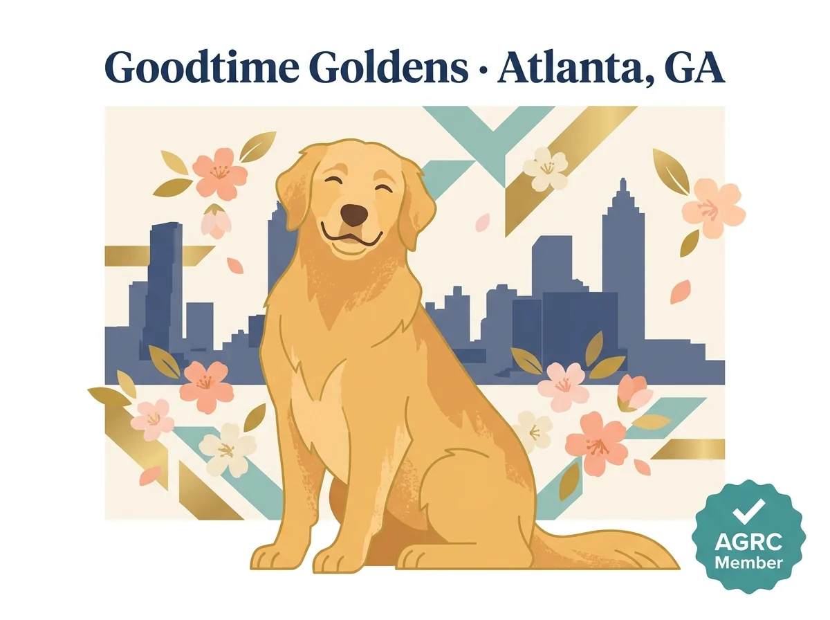 Goodtime Goldens editorial profile card with Atlanta skyline silhouette and AGRC verification badge.