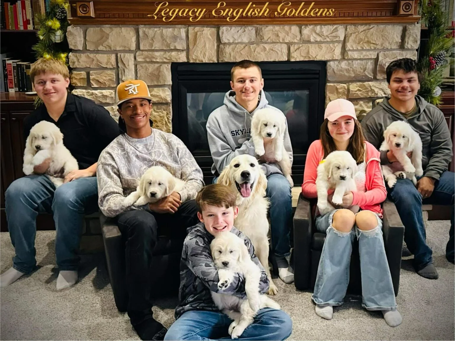 Legacy English Goldens family with multiple English Cream golden retriever puppies in front of a stone fireplace