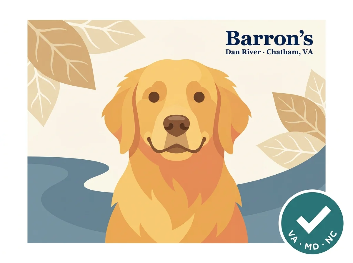 Barron's Dan River Retrievers editorial card: stylized golden retriever portrait with Dan River silhouette and tobacco-leaf accents, VA · MD · NC service-area verification badge.