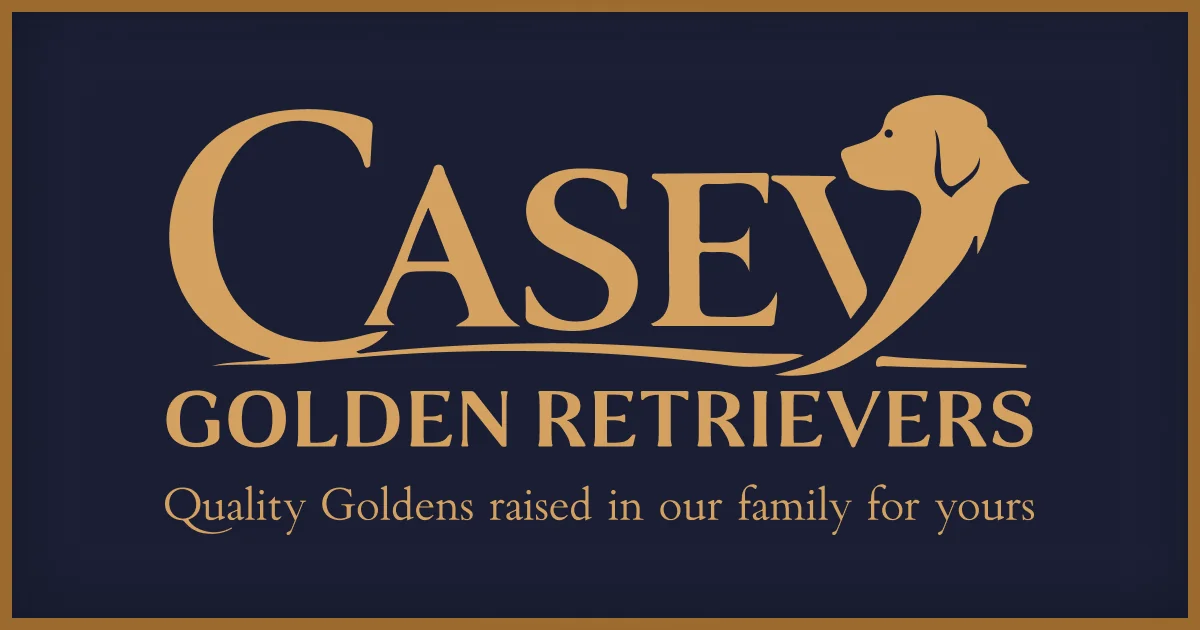Casey Golden Retrievers logo card with the kennel name in gold serif type on a deep navy background, tagline 'Quality Goldens raised in our family for yours.'