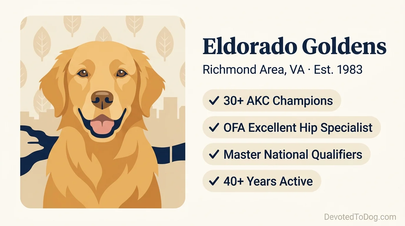 Eldorado Goldens editorial card: stylized golden retriever portrait with credential badges reading 30+ AKC Champions, OFA Excellent Hip Specialist, Master National Qualifiers, and 40+ Years Active in the Richmond area, est. 1983.