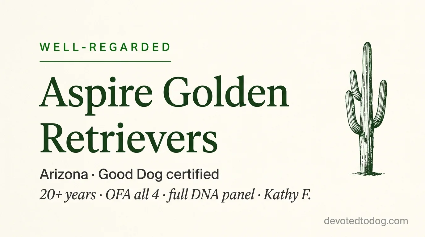 Aspire Golden Retrievers editorial profile card showing a stylized golden retriever portrait with Arizona desert silhouette and Good Dog certified verification badge.