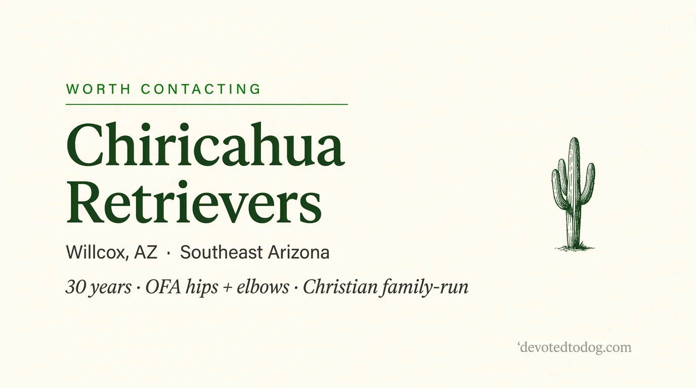 Chiricahua Retrievers editorial profile card showing a stylized golden retriever portrait with southeastern Arizona mountain silhouette.