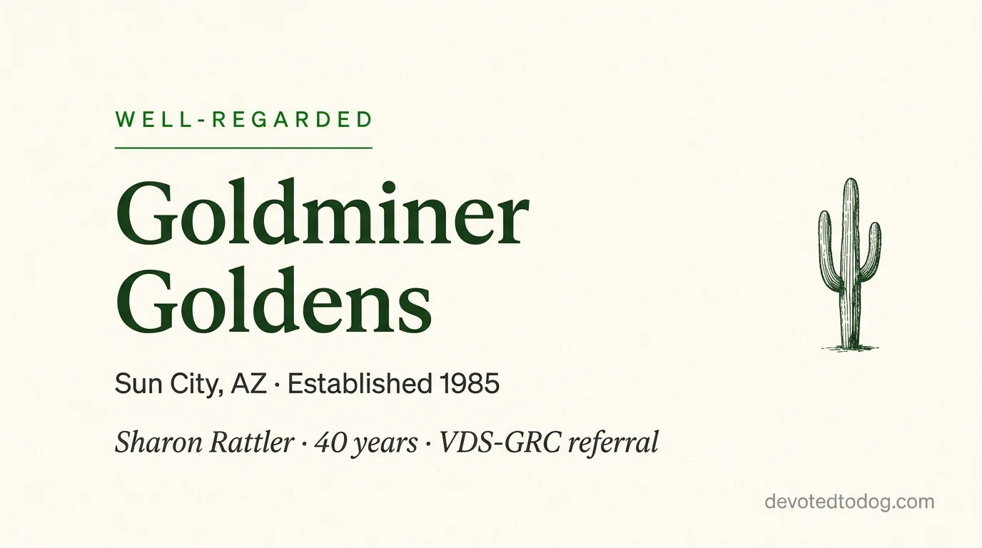 Goldminer Goldens editorial profile card showing a stylized golden retriever portrait with Sun City Arizona silhouette and VDS-GRC verification badge.