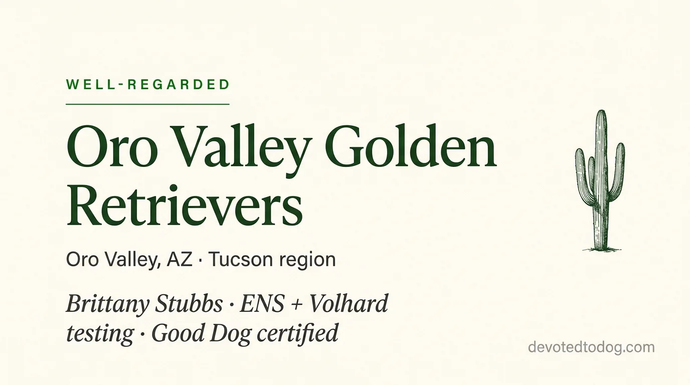 Oro Valley Golden Retrievers editorial profile card showing a stylized golden retriever portrait with Tucson Arizona silhouette and Good Dog verification badge.