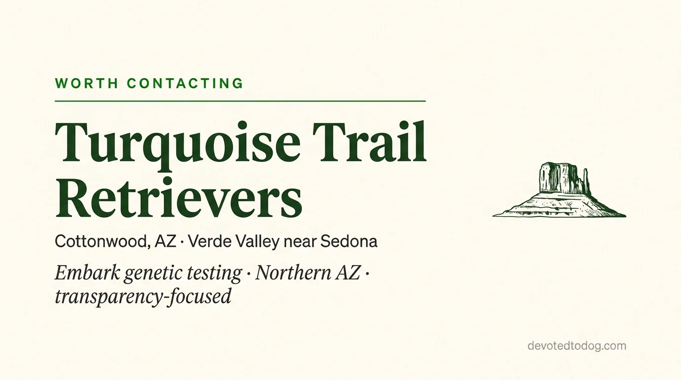 Turquoise Trail Retrievers editorial profile card showing a stylized golden retriever portrait with Sedona red rock silhouette.