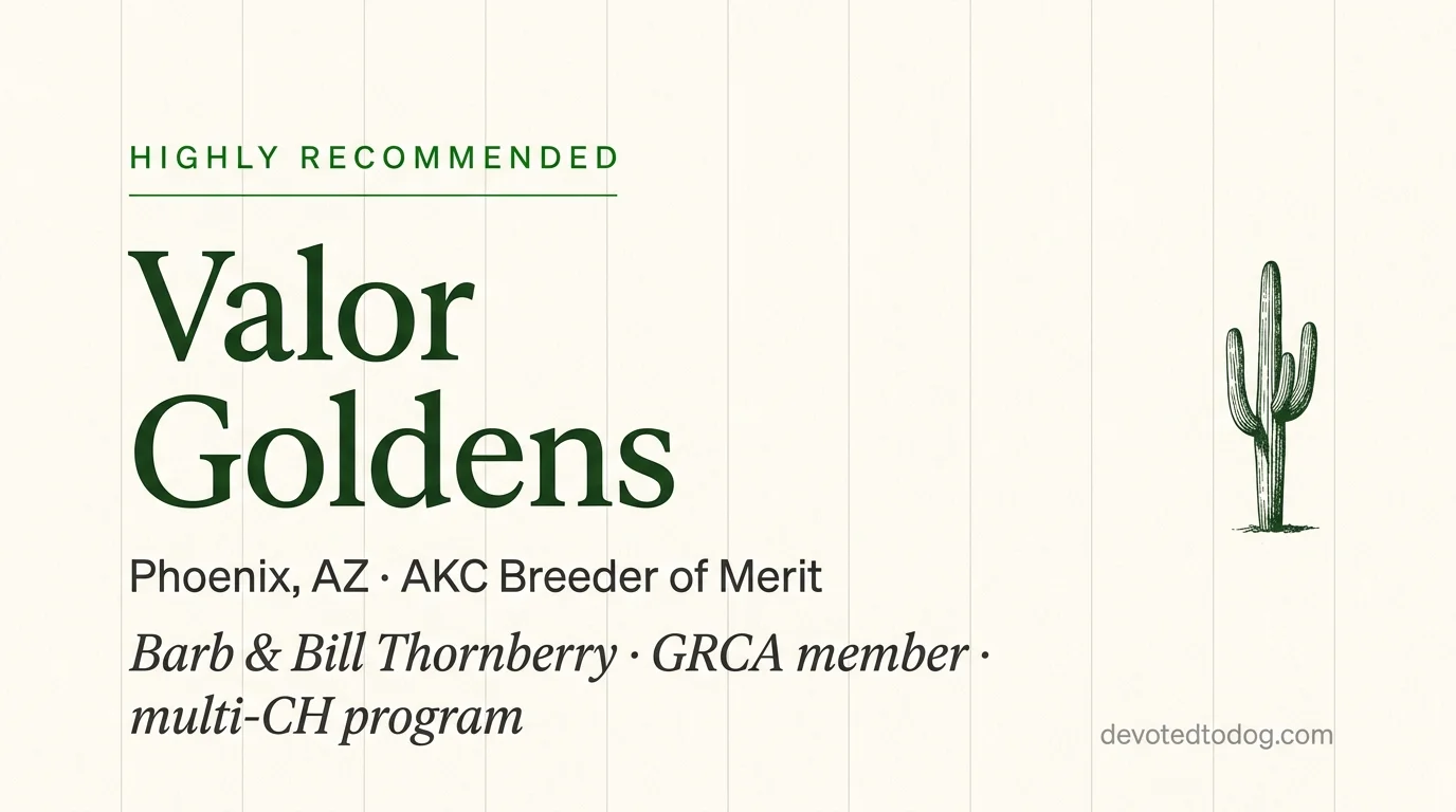 Valor Goldens editorial profile card showing a stylized golden retriever portrait with Arizona desert silhouette and AKC Breeder of Merit verification badge.