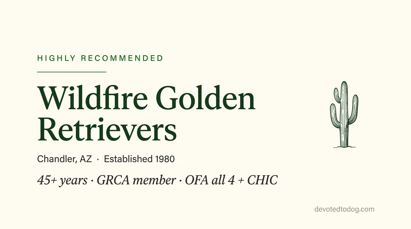 Wildfire Golden Retrievers editorial profile card showing a stylized golden retriever portrait with Arizona desert silhouette, saguaro cactus, and GRCA verification badge.