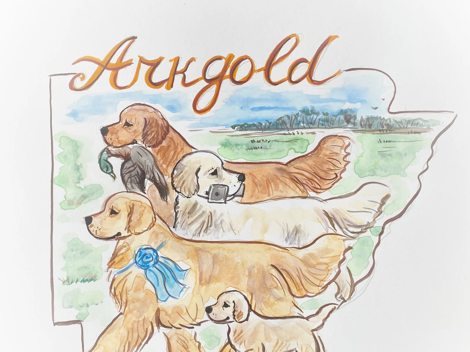 Golden retriever puppy from ArkGold in Dardanelle, Arkansas, the kennel founded by AKC judge Marissa Hendrix