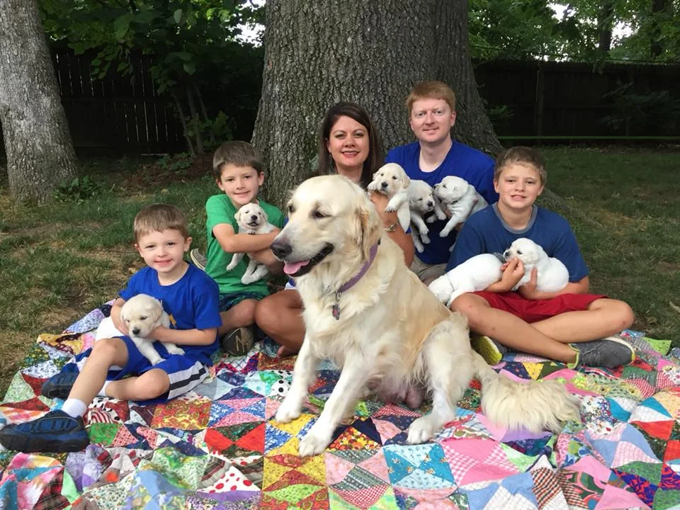 Family portrait at NWA Goldens with English Cream golden retrievers in Fayetteville, Northwest Arkansas