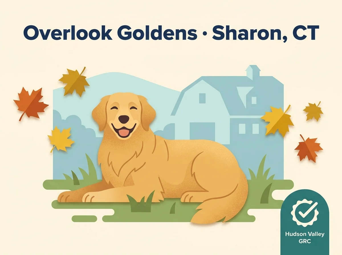 Editorial illustration of Overlook Goldens, Sharon, Connecticut.