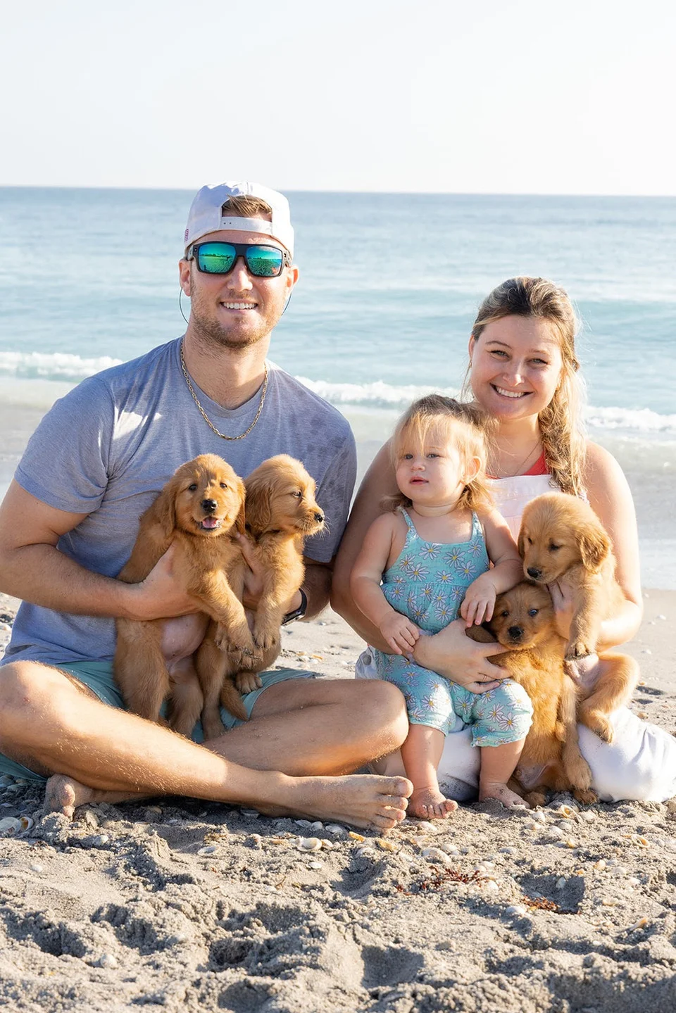 Golden retriever from Maximus Golden Retrievers, Miami, FL