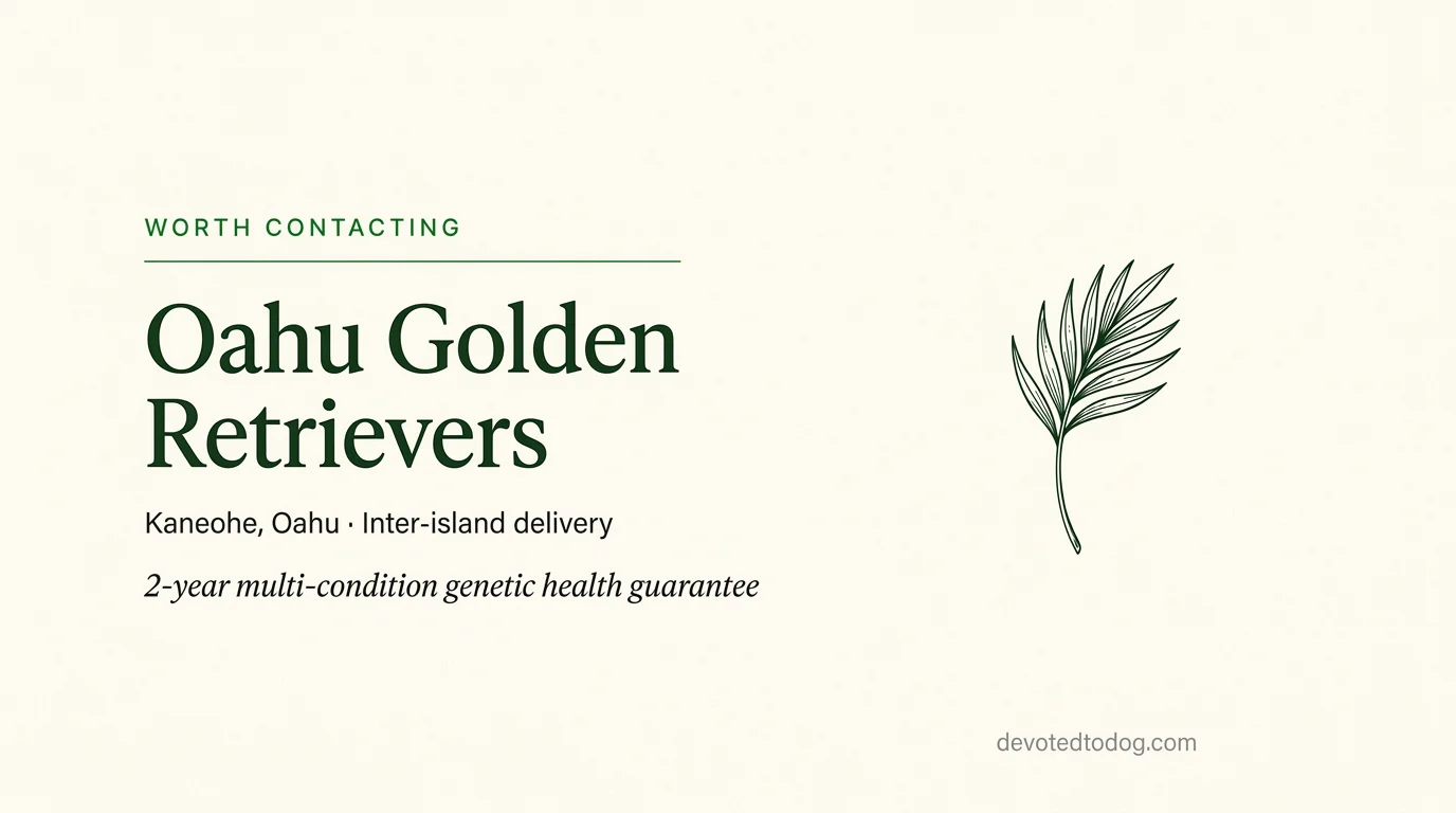 Oahu Golden Retrievers editorial profile card showing Worth Contacting tier and Kaneohe location