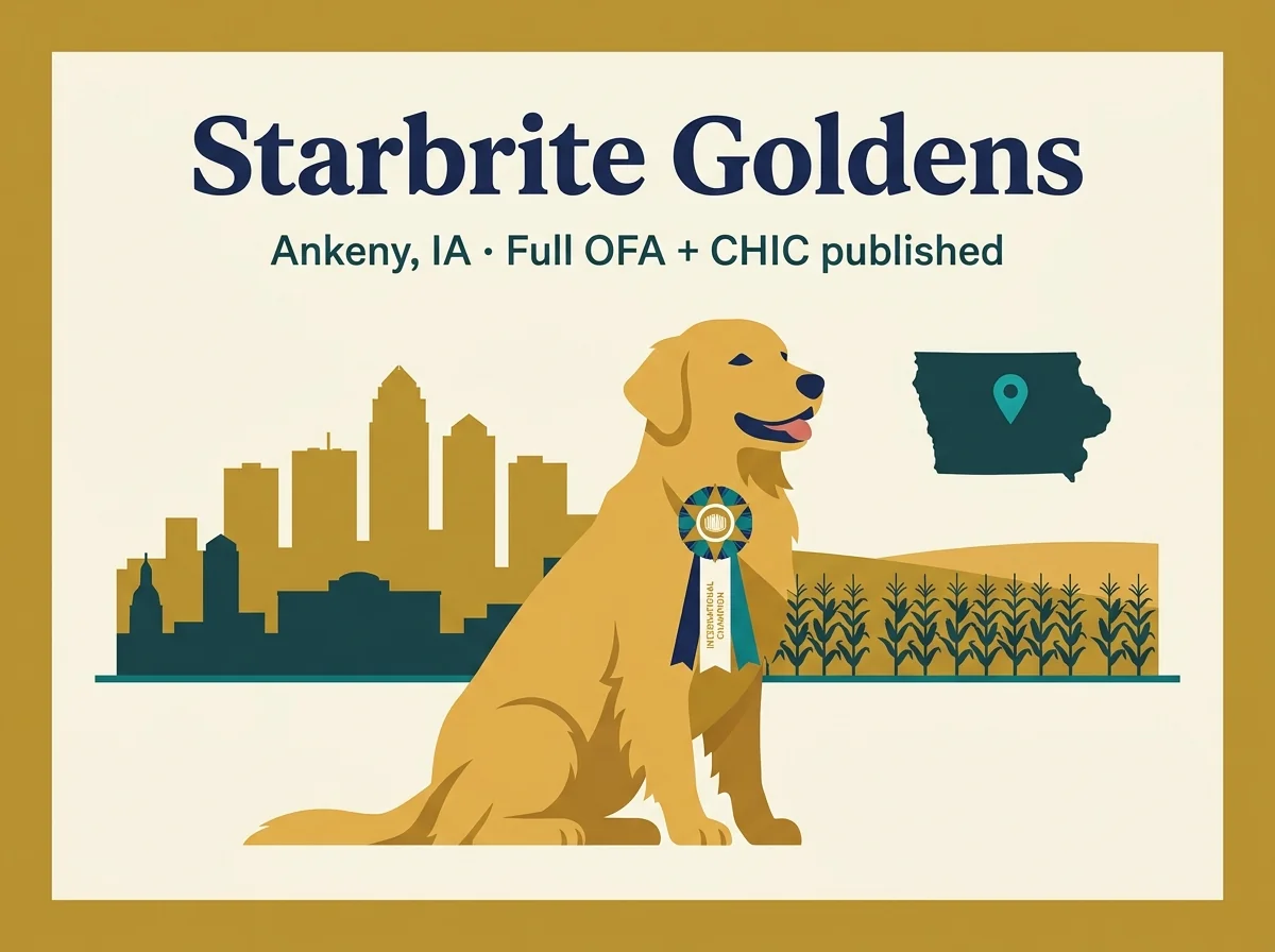 Starbrite Golden Retrievers editorial profile card showing tier rating, Ankeny IA location, and key credentials