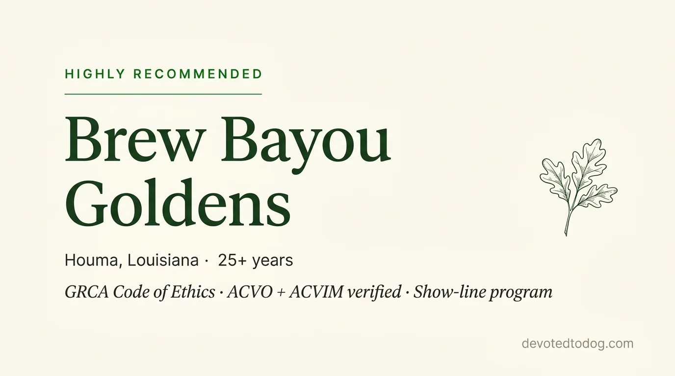 Brew Bayou Goldens editorial profile card showing tier rating, location, and key credentials