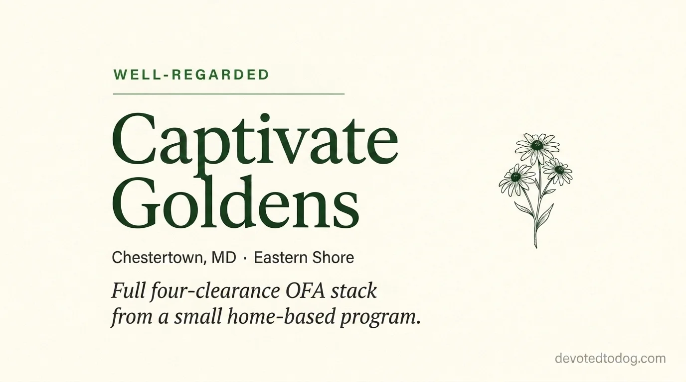 Captivate Goldens editorial profile card showing tier rating, Chestertown Eastern Shore location, and full four-clearance OFA stack