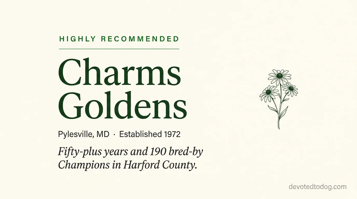 Charms Goldens editorial profile card showing tier rating, Pylesville location, fifty-plus year program history, and AKC judge involvement