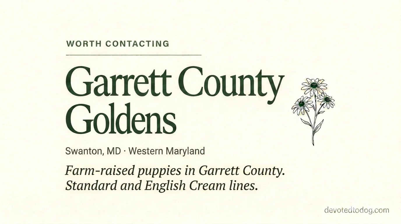 Garrett County Goldens editorial profile card showing tier rating, Swanton Western Maryland location, and farm-raised Standard and English Cream golden program