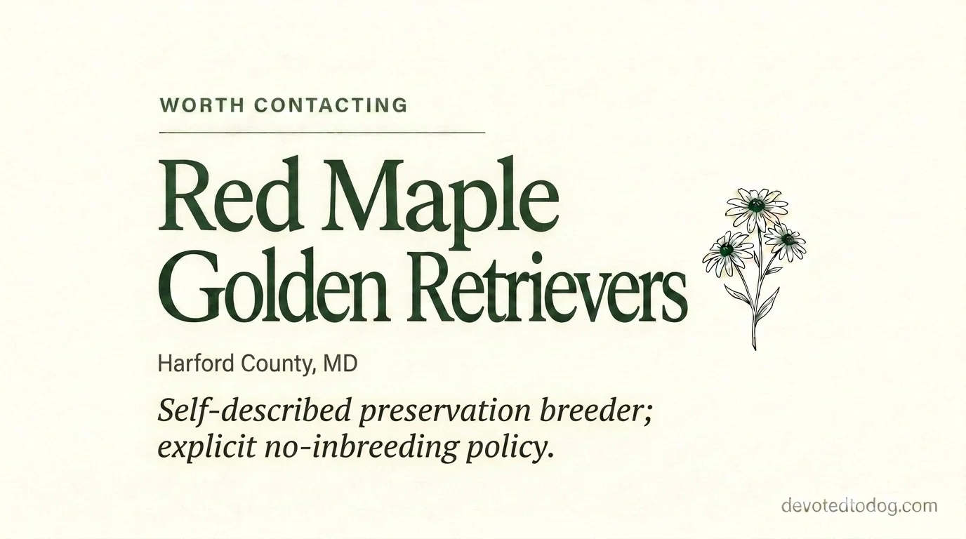 Red Maple Golden Retrievers editorial profile card showing tier rating, Harford County Maryland location, and preservation breeder no-inbreeding policy