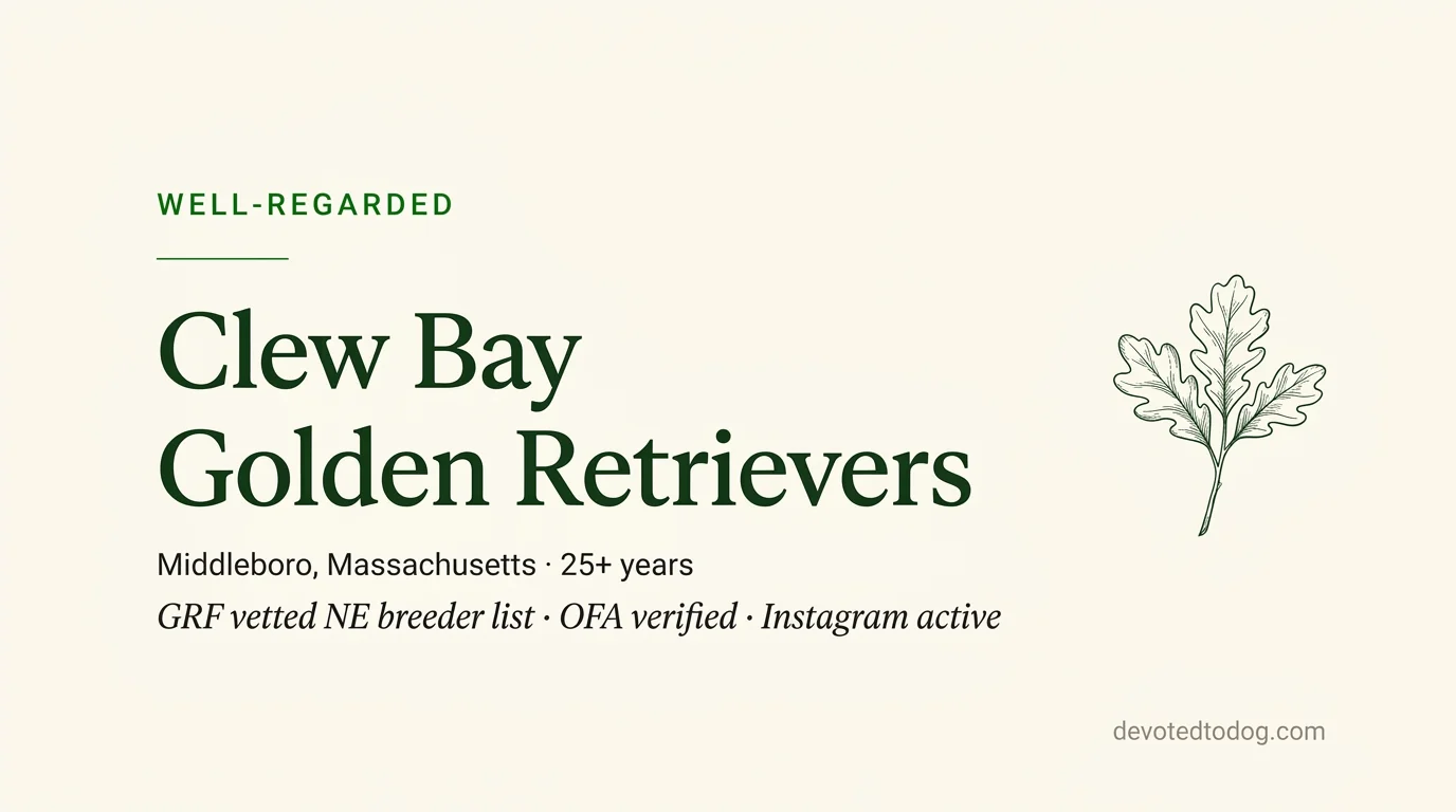 Clew Bay Golden Retrievers editorial profile card showing tier rating, location, and key credentials