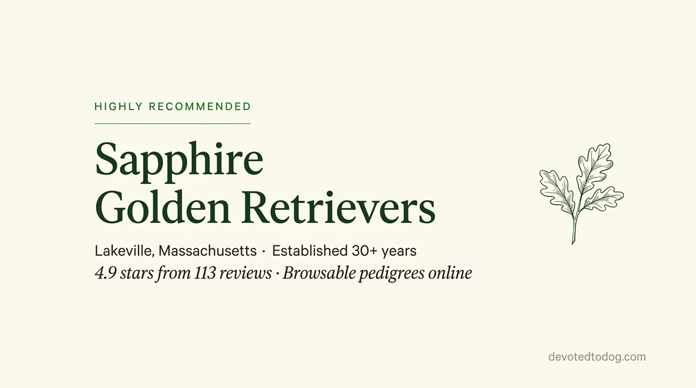 Sapphire Golden Retrievers editorial profile card showing tier rating, location, and key credentials