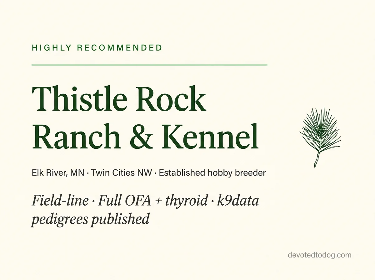 Thistle Rock Goldens editorial profile card, Elk River MN, with golden retriever portrait and OFA Verified verification badge.