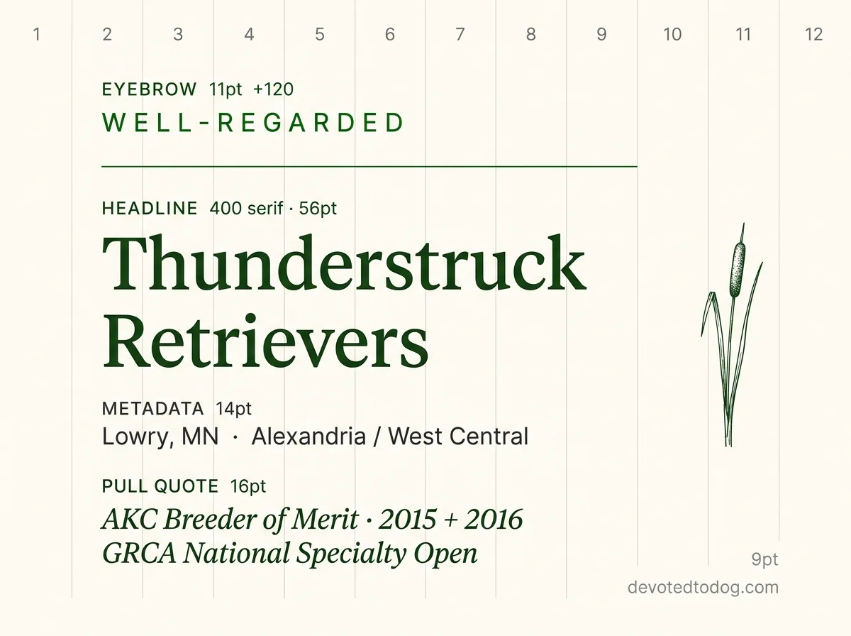 Thunderstruck Retrievers editorial profile card, Lowry MN, with golden retriever portrait and AKC Breeder of Merit verification badge.