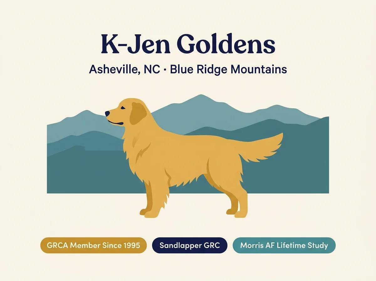 K-Jen Goldens editorial profile card showing Asheville location with Blue Ridge Mountains, GRCA since 1995, and Sandlapper Golden Retriever Club credentials.